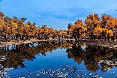 Xbox游戏独占不独占，全由Phil Spencer说了算